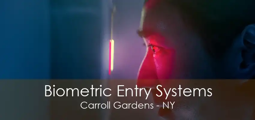 Biometric Entry Systems Carroll Gardens - NY