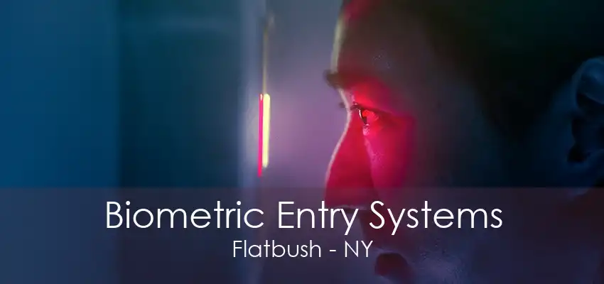 Biometric Entry Systems Flatbush - NY