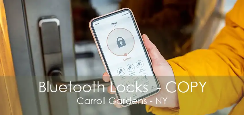 Bluetooth Locks  - COPY Carroll Gardens - NY