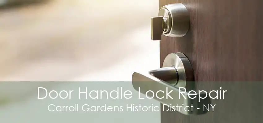 Door Handle Lock Repair Carroll Gardens Historic District - NY